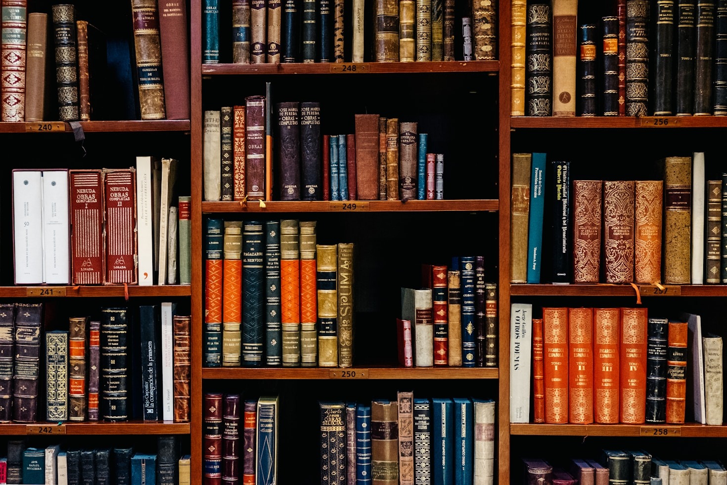 Why We Still Love Physical Books